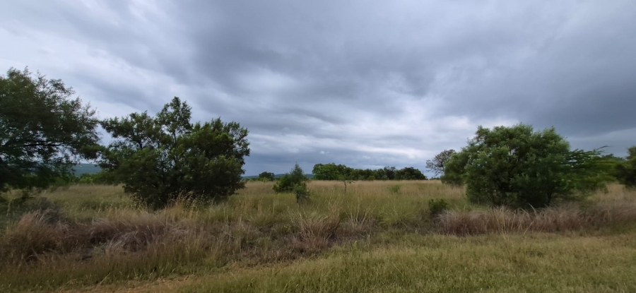 10 Bedroom Property for Sale in Swartruggens North West